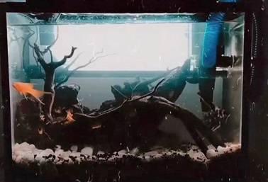 HendraAqua--