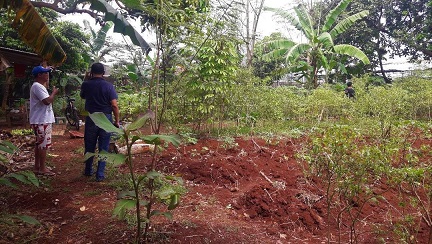 Kebun1--
