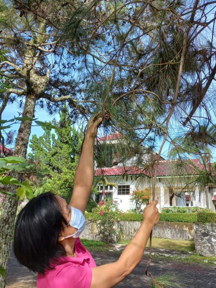foto8--_2